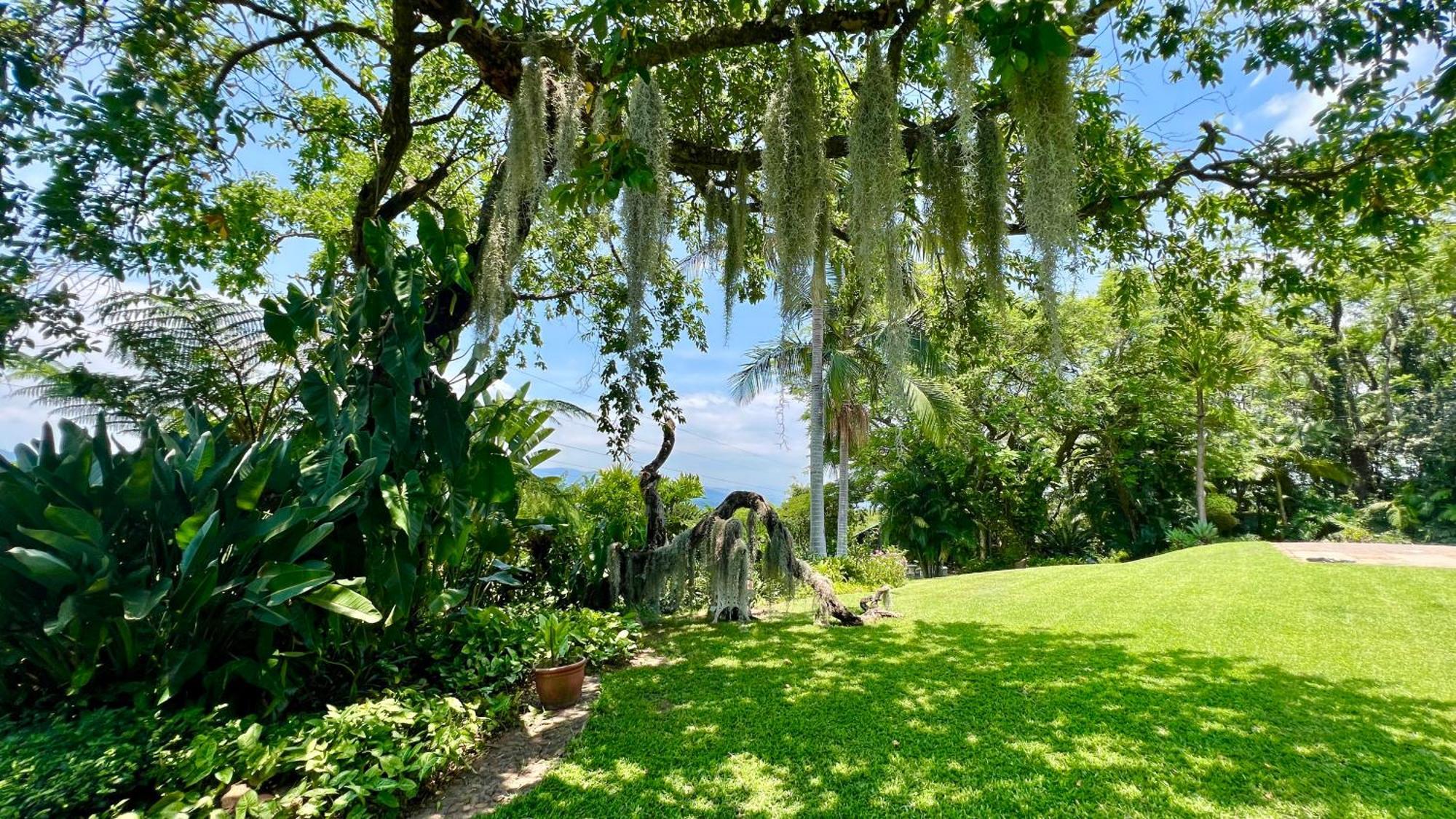 Loerieroep Estate - Mountainview Accommodation Nelspruit Mbombela Exterior foto